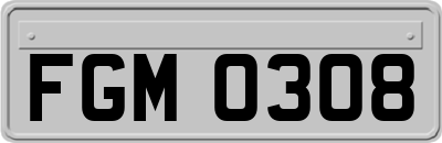 FGM0308