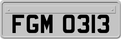 FGM0313