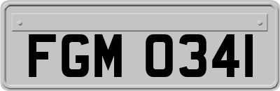 FGM0341