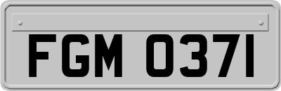 FGM0371