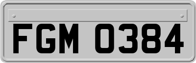 FGM0384