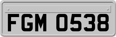 FGM0538
