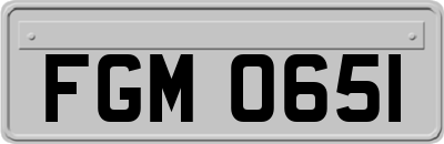 FGM0651