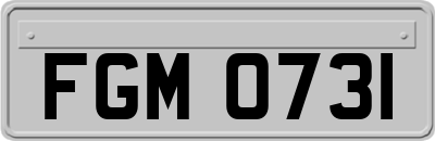 FGM0731