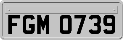 FGM0739