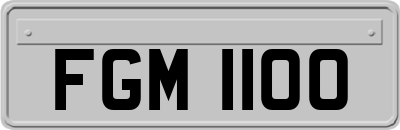 FGM1100