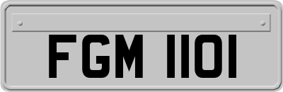 FGM1101