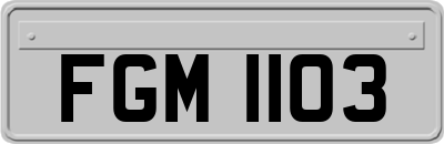 FGM1103