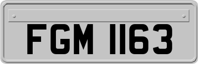 FGM1163