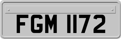 FGM1172