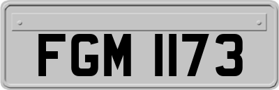 FGM1173