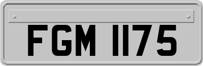 FGM1175