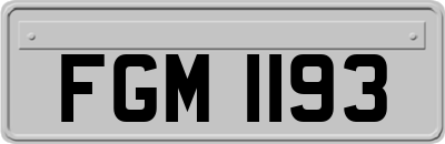 FGM1193