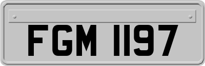 FGM1197