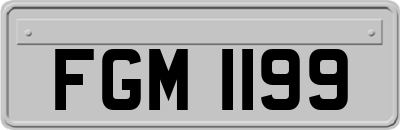 FGM1199