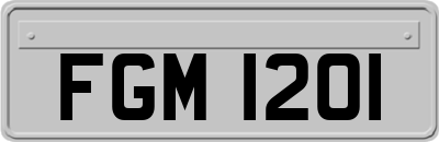 FGM1201