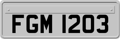 FGM1203