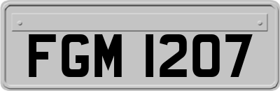 FGM1207