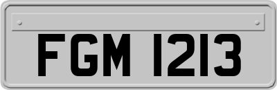 FGM1213