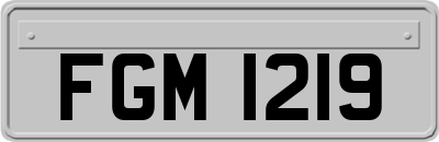 FGM1219
