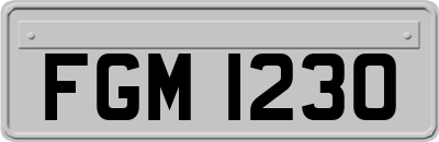FGM1230