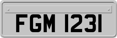 FGM1231