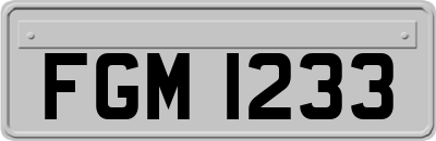 FGM1233