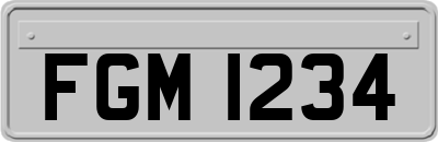 FGM1234