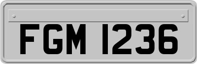 FGM1236