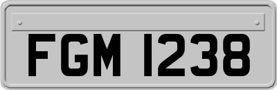 FGM1238