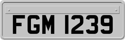 FGM1239