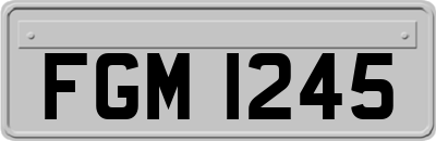 FGM1245