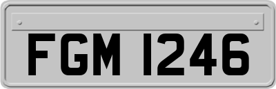 FGM1246