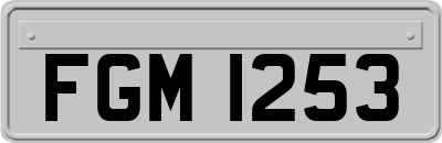 FGM1253