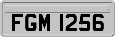 FGM1256