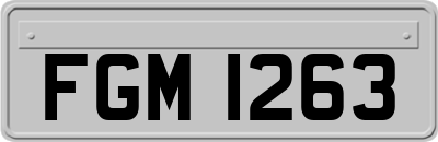 FGM1263