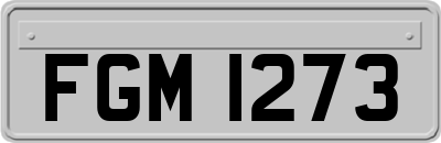 FGM1273
