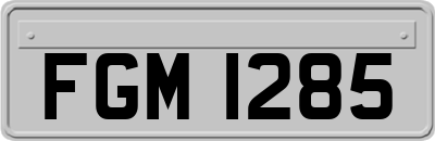 FGM1285