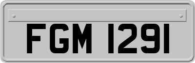 FGM1291