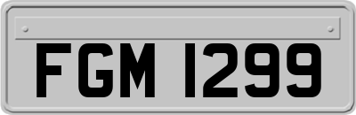 FGM1299
