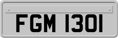 FGM1301