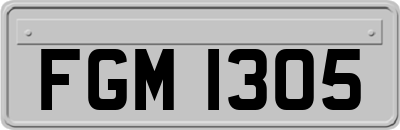 FGM1305