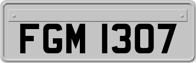 FGM1307