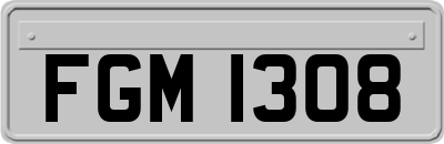 FGM1308