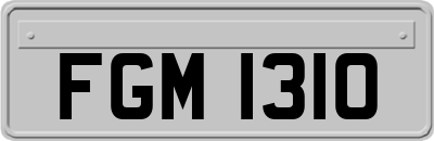 FGM1310