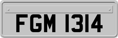 FGM1314