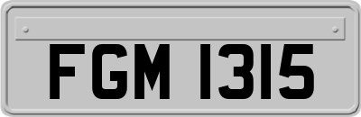FGM1315