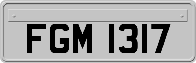 FGM1317