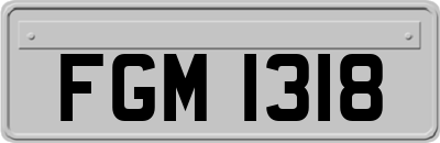 FGM1318