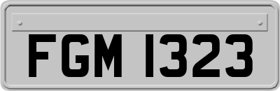 FGM1323